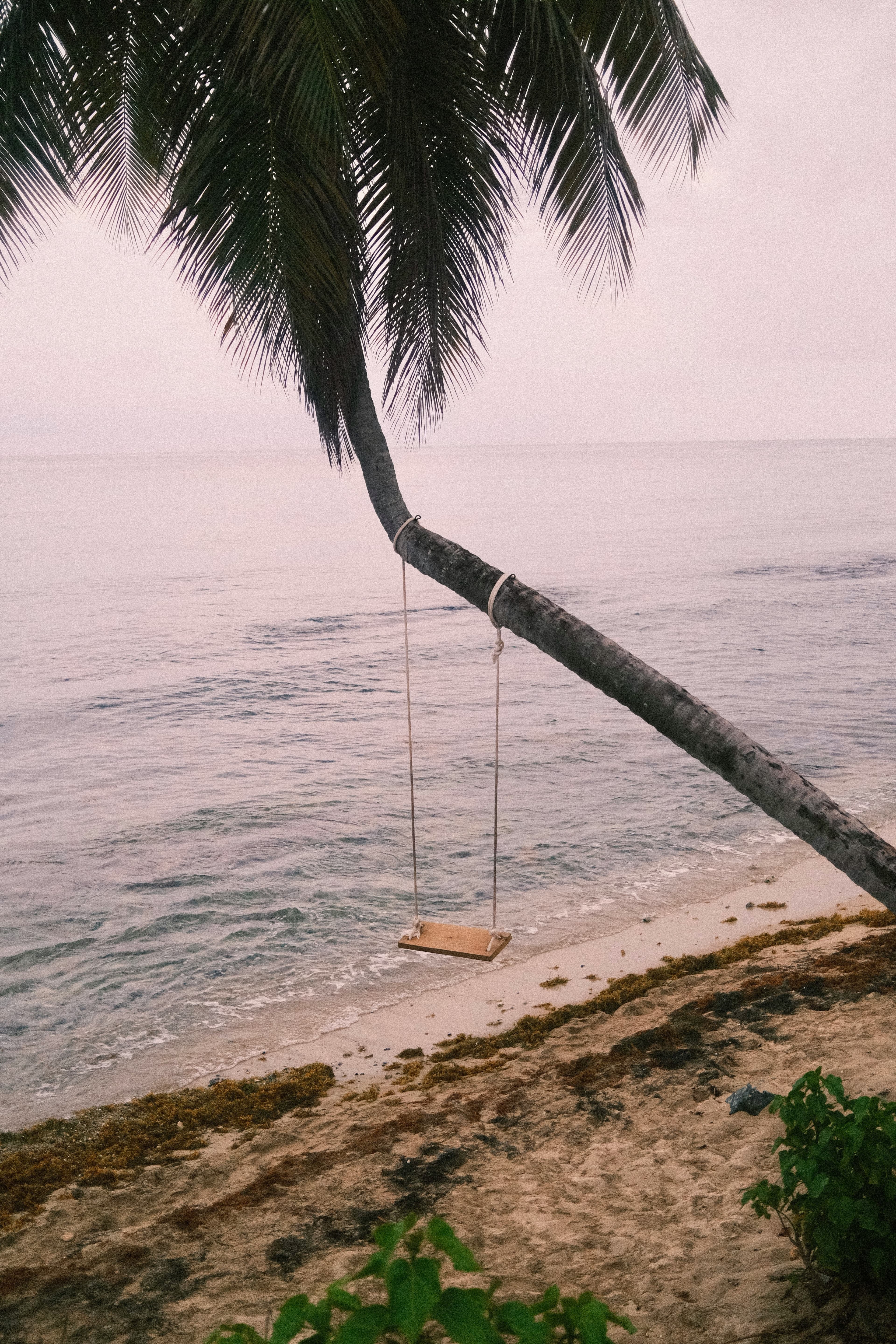 Beach Swing